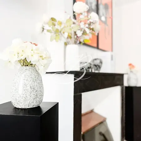 L'okko - Centre-ville Suquet Palais